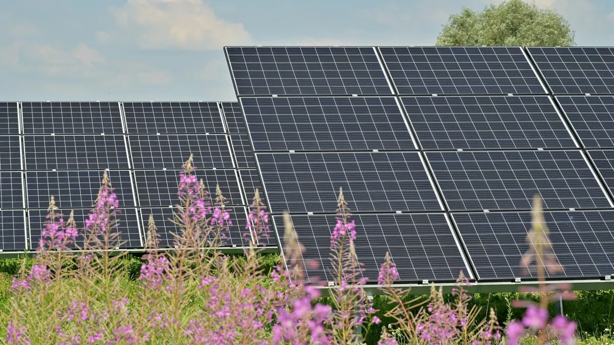 Painel solar ao lado de flores roxas, ilustrando um painel fixado em ponto aberto e ensolarado