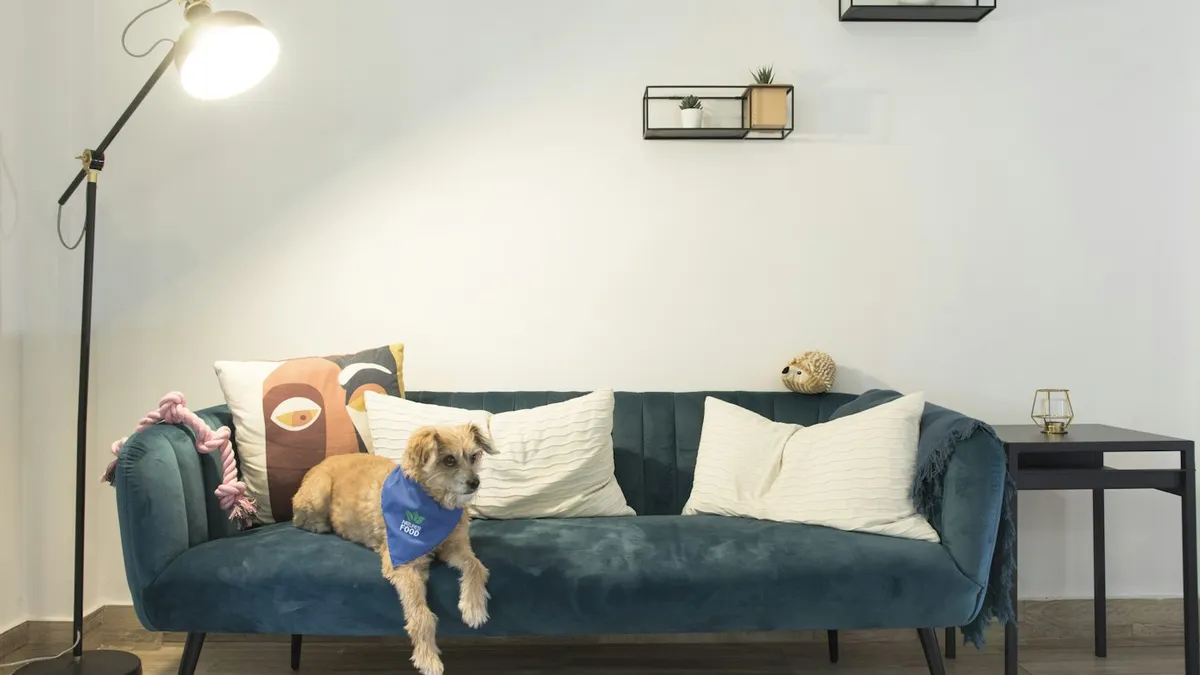 Cachorro de bandana azul deitado em um sofá verde, cena doméstica típica para uma câmera Xiaomi interna