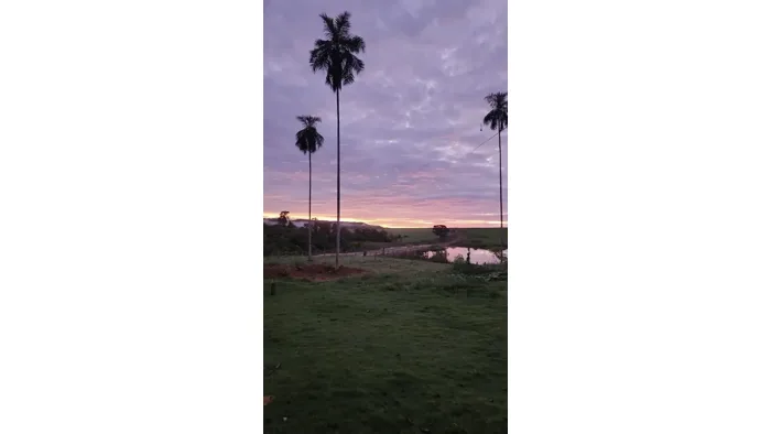 Câmera Inteligente Wi-Fi Novadigital Externa Bateria Solar HD Nuvem IA IP Alexa App Vico Home — foto 4 de 4